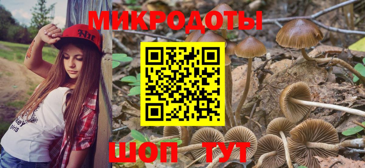 где купить наркоту  Галлюциногенные грибы Psilocybe  Вход с VPN  Карталы 